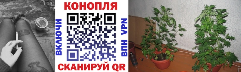 Купить Собинка Канабис  Меф  КОКАИН  Гашиш 