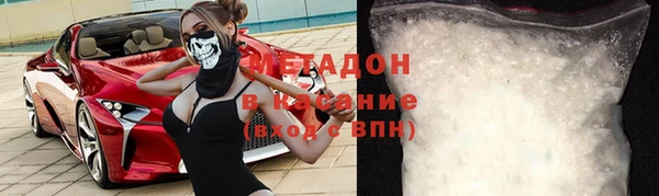 гашик Алексин