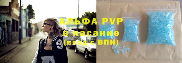 гашик Алексин