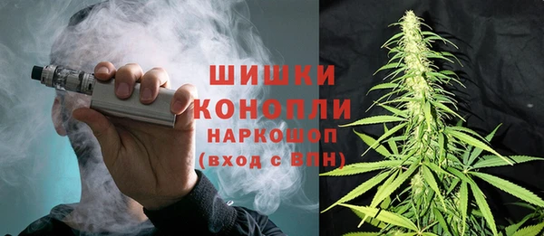 гашик Алексин