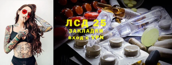 гашик Алексин