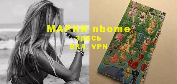 гашик Алексин