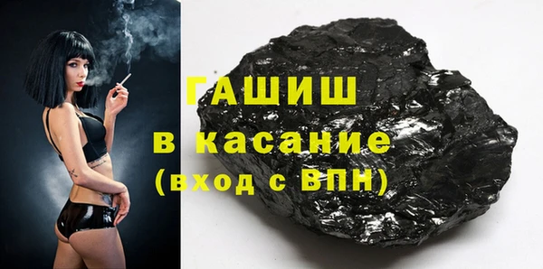 гашик Алексин