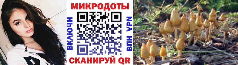 Галлюциногенные грибы GOLDEN TEACHER  продажа наркотиков  Собинка 